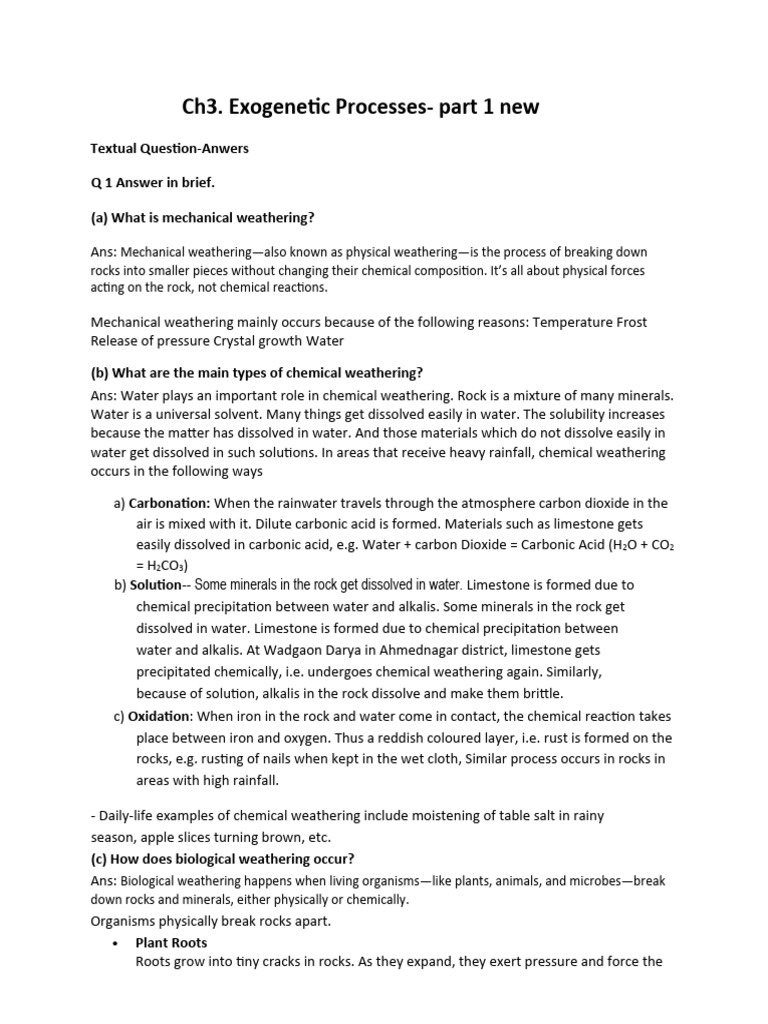 9 Geography Ch3 Exogenetic Process 1 New 2025 | PDF | Weathering ...