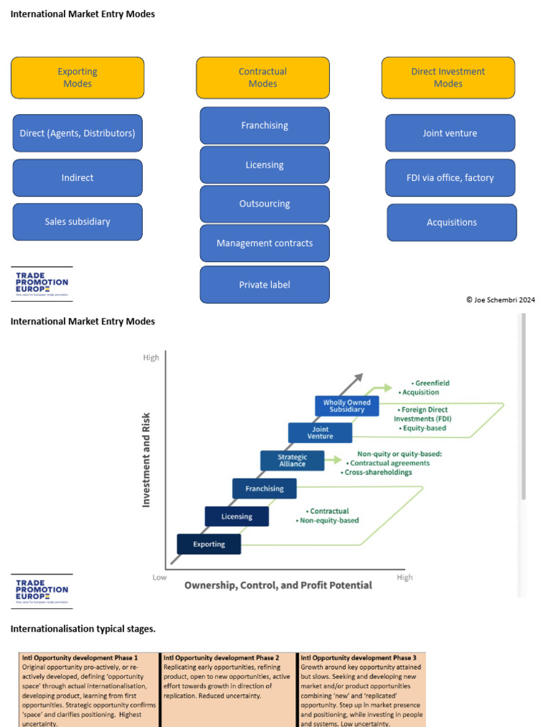 International Market Entry Strategies | PDF