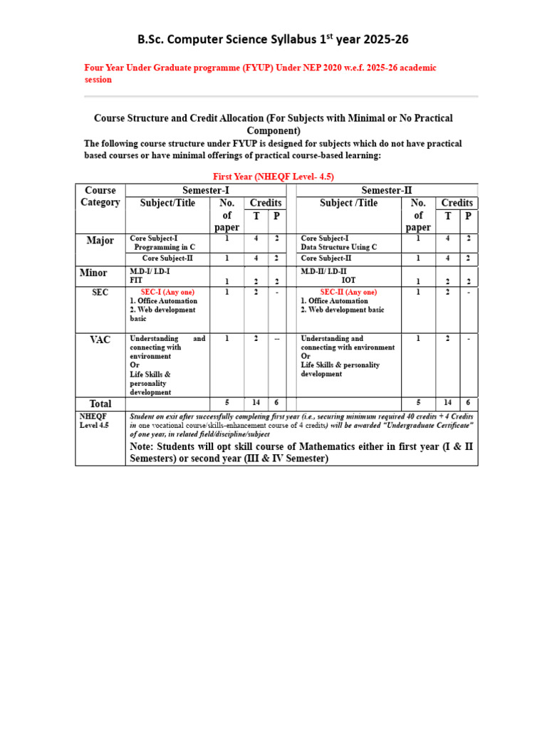 B.Sc. 1st Year Computer Science Syllabus | PDF | World Wide Web ...