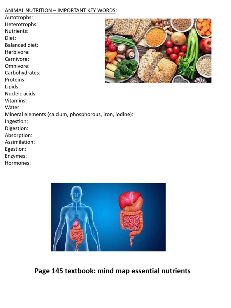 Key Terms in Animal Nutrition | PDF | Digestion | Stomach