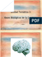 URPunidad 3 Bases Bioligicas