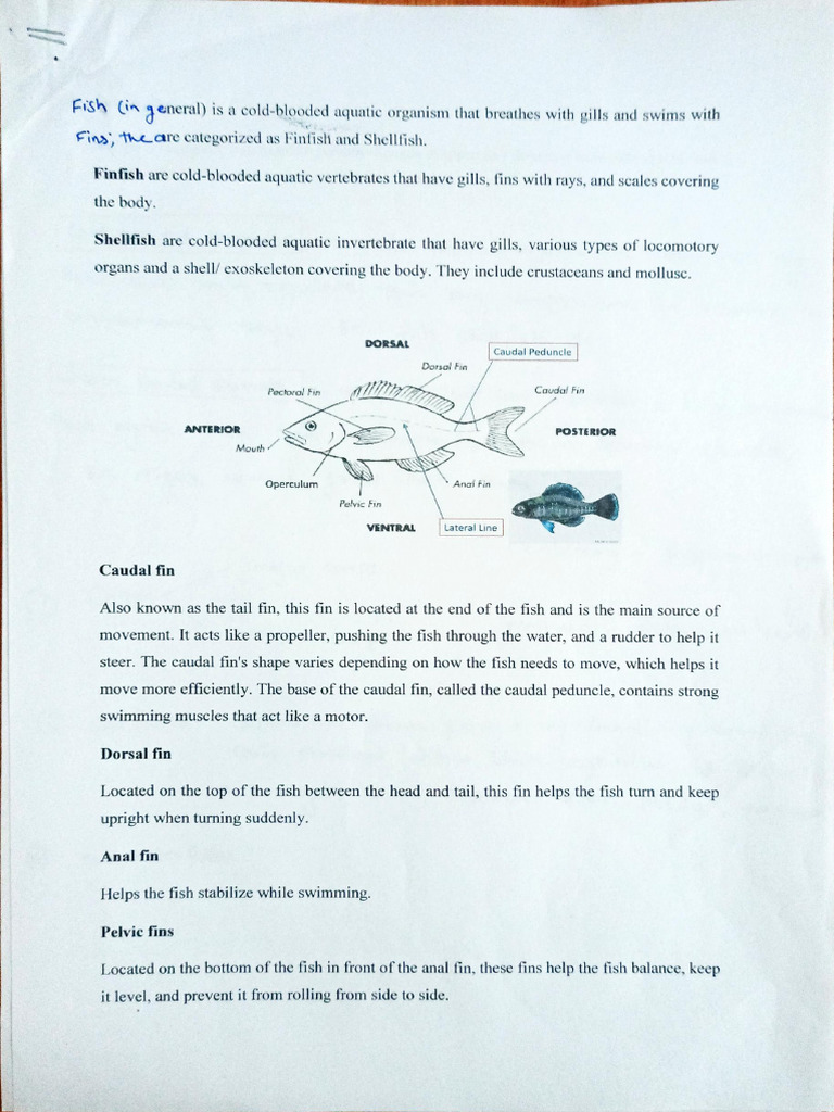 Aquaculture (Fish) | PDF