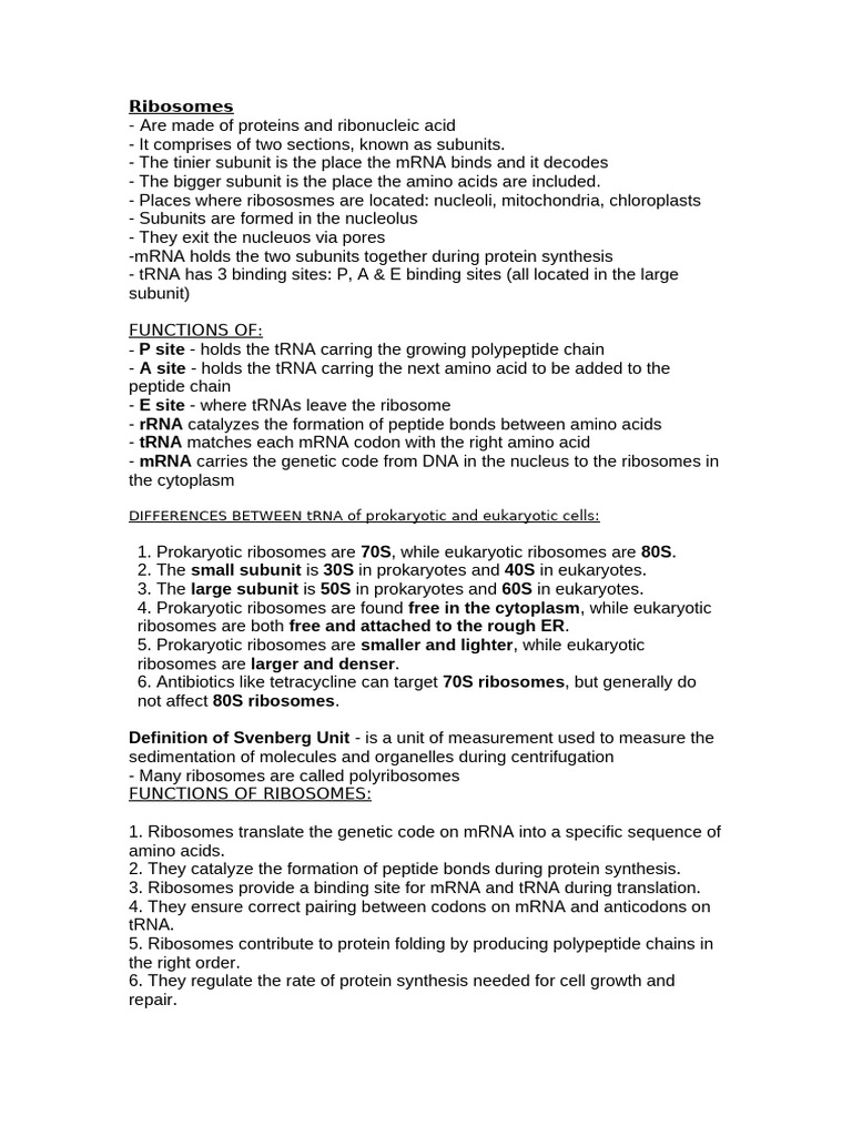 Ribosome Functions and Structure | PDF