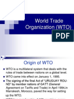 World Trade Organization (WTO)