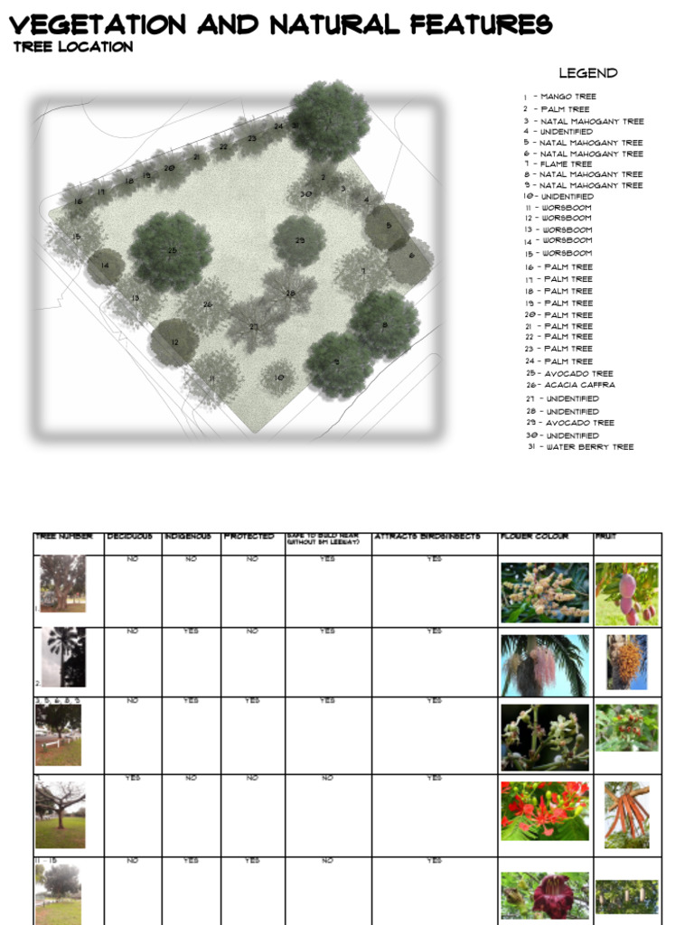 Tree Species and Features Overview | PDF | Trees | Plants