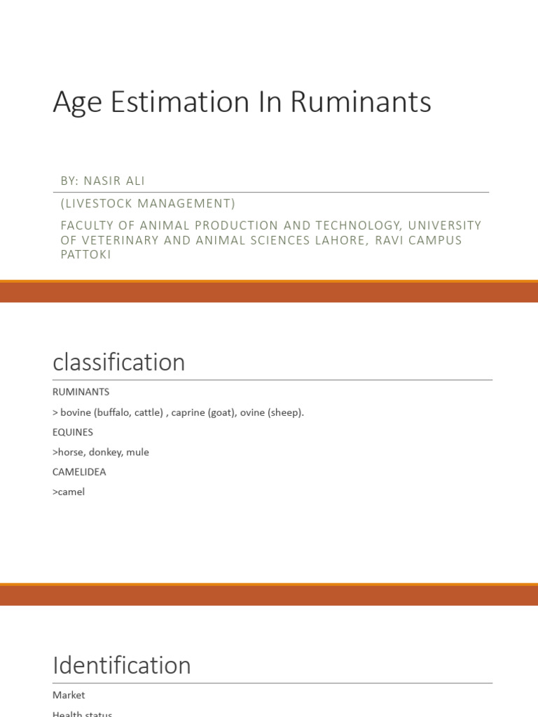 Ruminant Age Estimation via Dentition | PDF