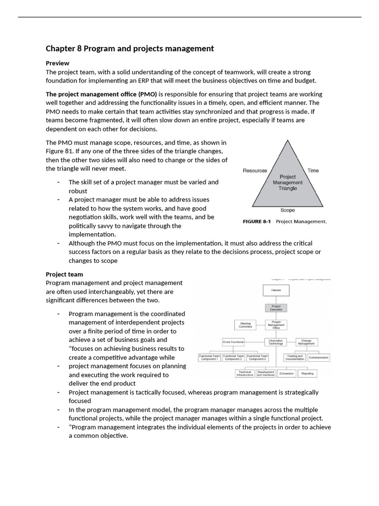Effective Program and Project Management | PDF | Expert | Project ...