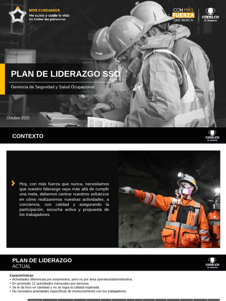 Plan de Liderazgo en Seguridad Ocupacional | PDF | Liderazgo