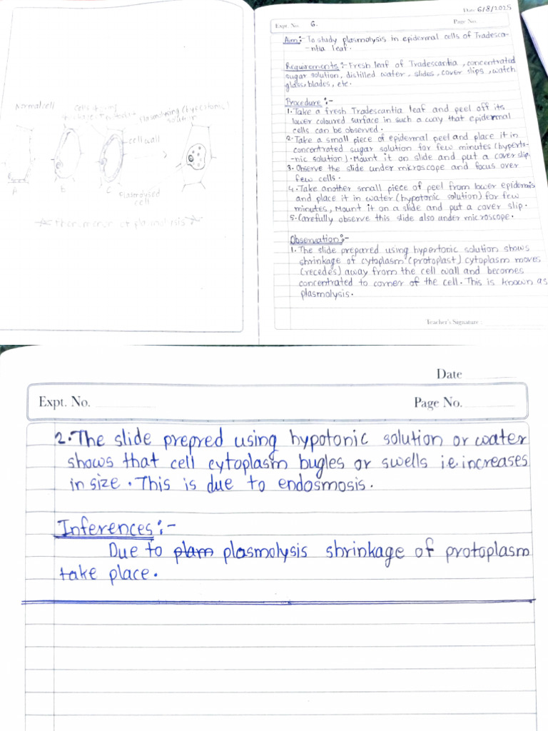 Soil Sample Analysis Techniques | PDF