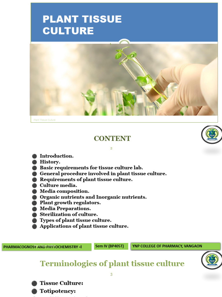 Overview of Plant Tissue Culture | PDF | Biology | Life Sciences