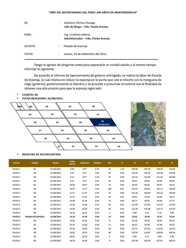 Informe de Pasada de Esponja en Riego | PDF
