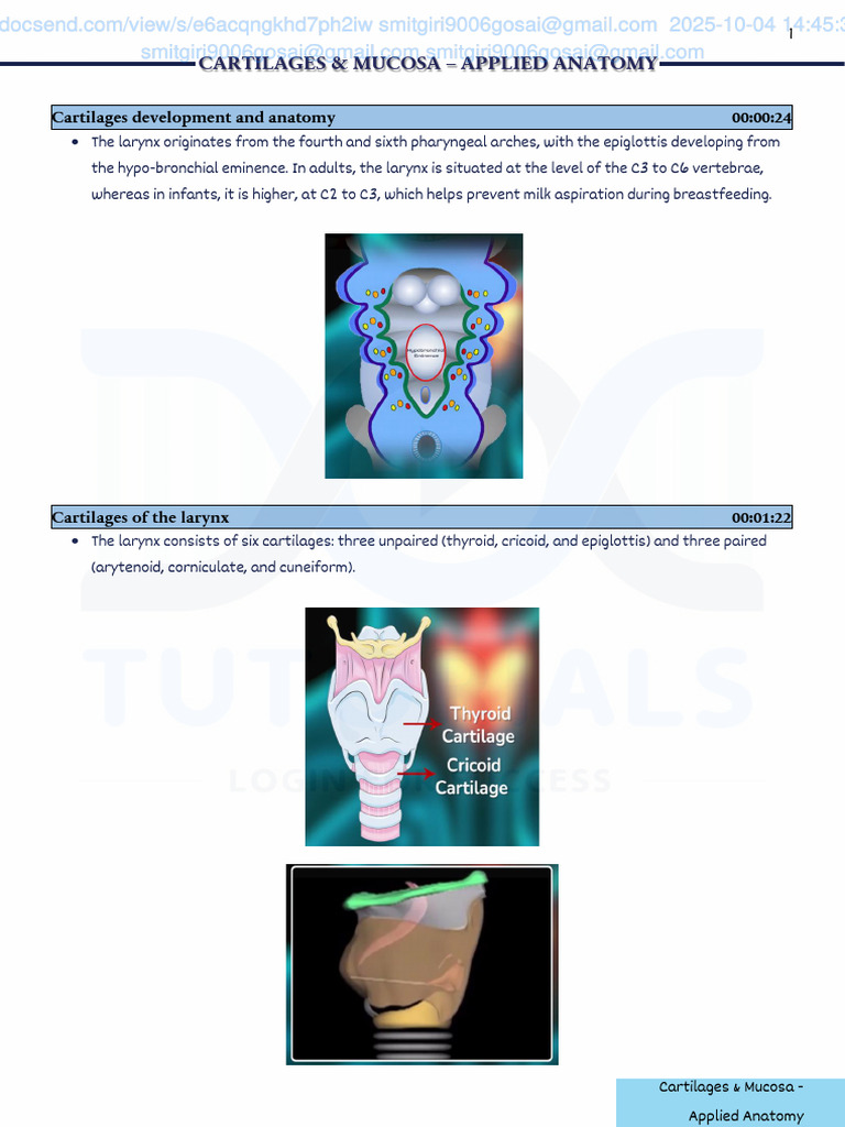 ENT Final PDF | PDF | Larynx | Human Head And Neck