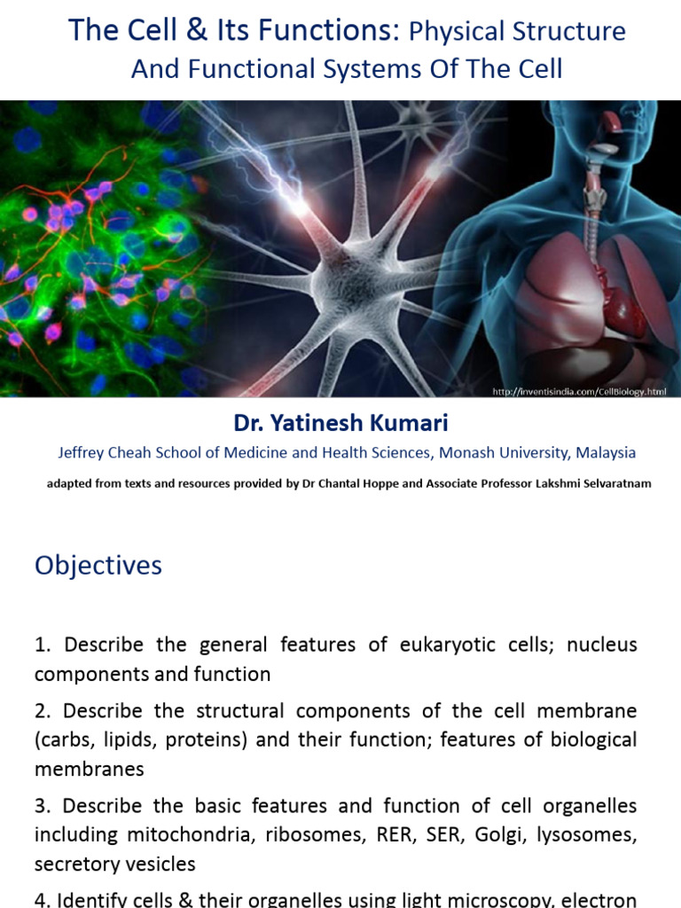Cell Structure and Functions Explained | PDF | Endoplasmic Reticulum ...