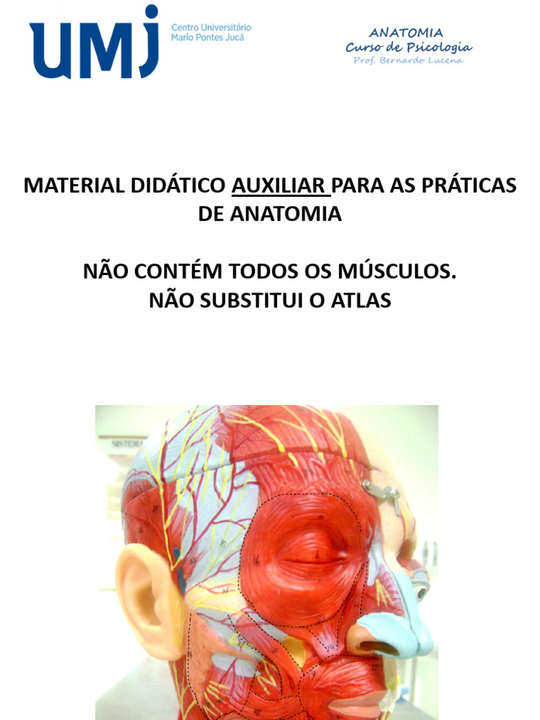 Material Didático de Anatomia Básica | PDF | Anatomia dos primatas ...