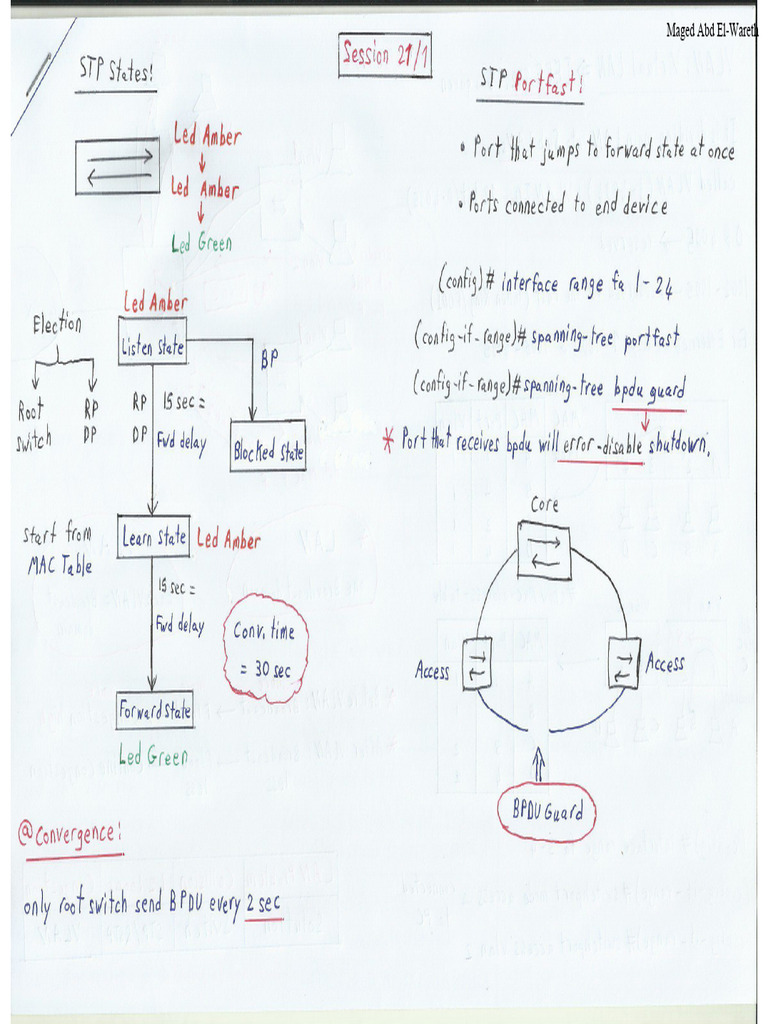 Maged Abd El-Wareth Profile Overview | PDF