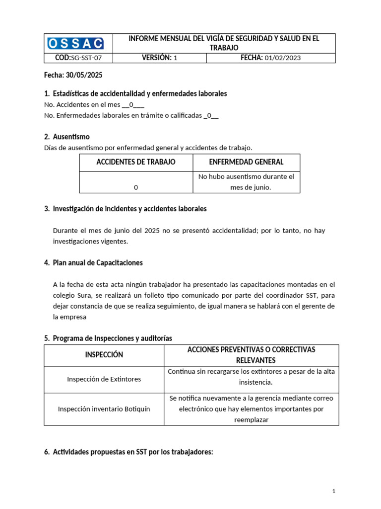 Informe Mensual de Seguridad Laboral | PDF