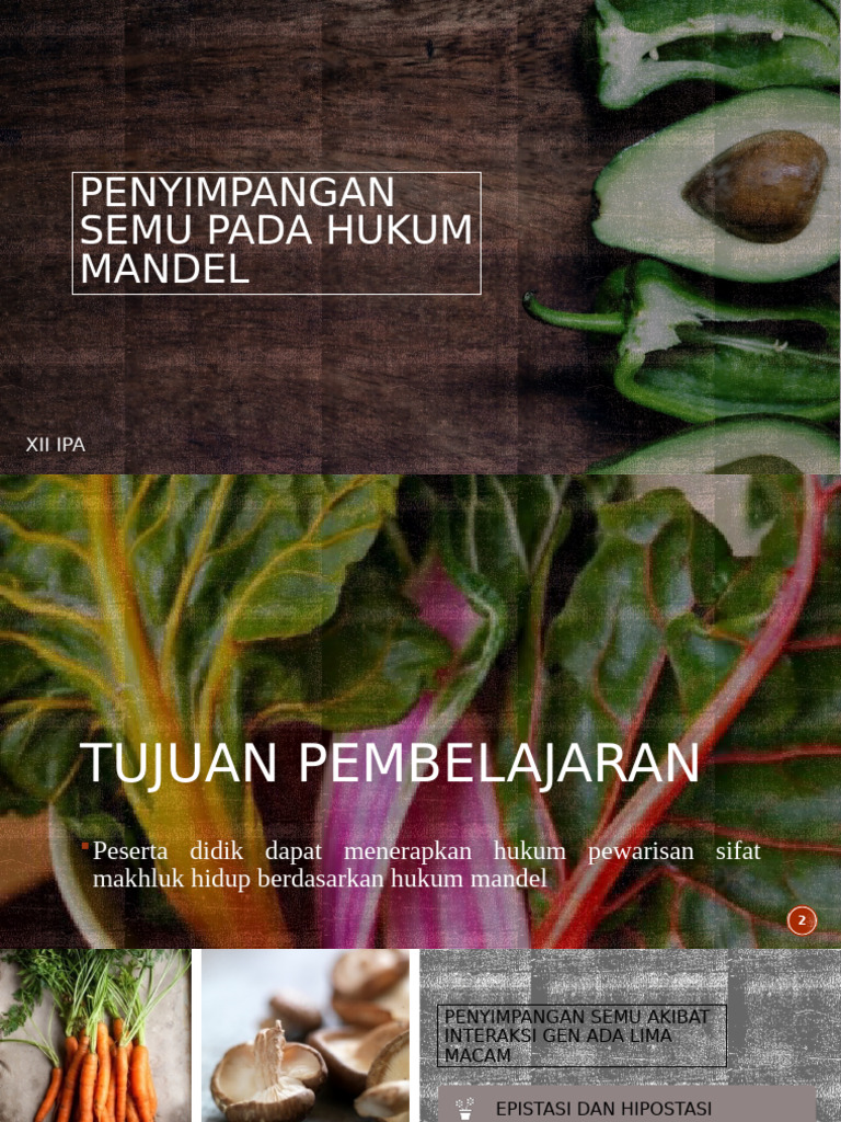 Penyimpangan Semu Hukum Mandel | PDF