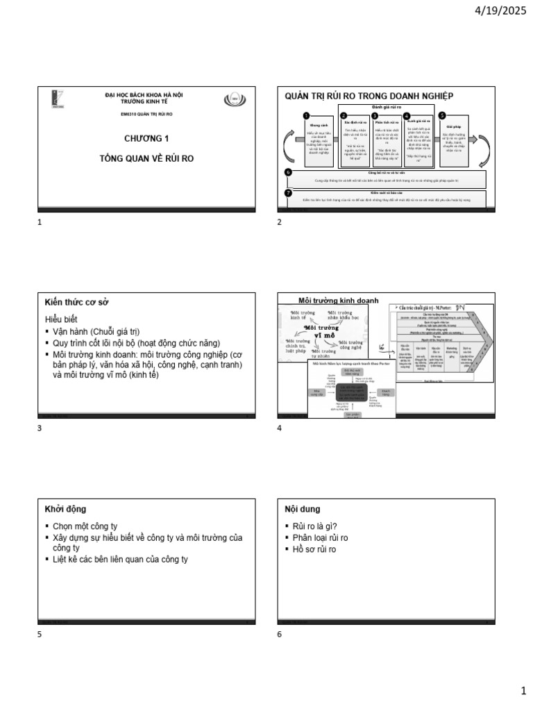 RM - Tong Quan Ve Rui | PDF