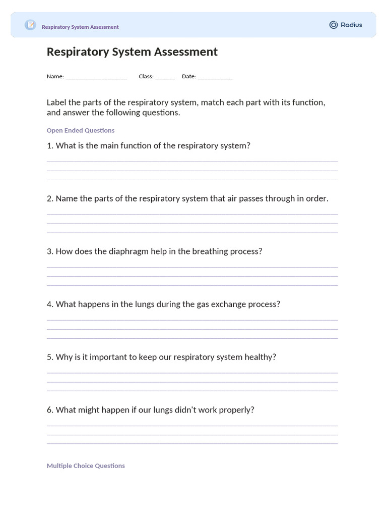 Respiratory System Assessment Guide | PDF | Respiratory System | Breathing