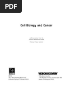 Cell Biology and Cancer NIH National Cancer Institute 1999