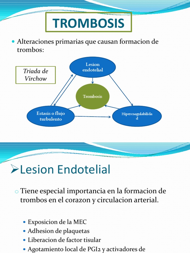 Trombosis Trombo Coagulacion