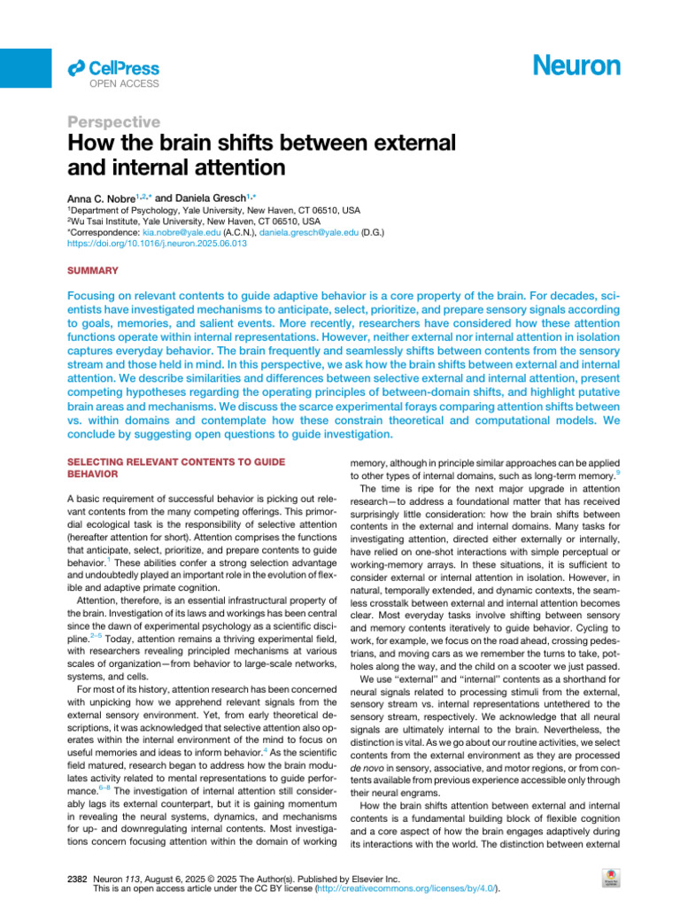 Internal External Attention | PDF | Attention | Working Memory