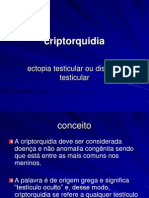 Criptorquidia: causas, tipos e tratamento da condição extra-escrotal dos testículos