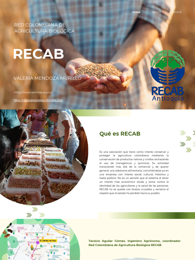 RECAB | PDF | Marketing | Sustentabilidad