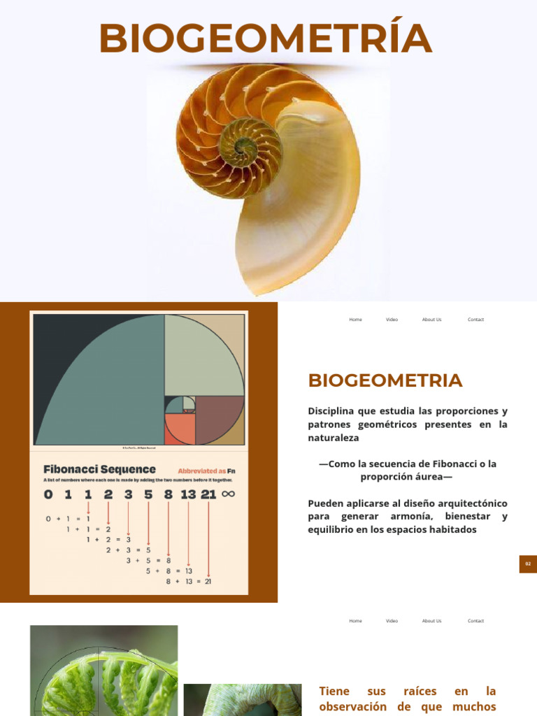 Biogeometría: Diseño Arquitectónico Natural | PDF | Diseño | Naturaleza