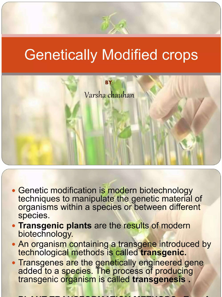 Genetically Modified Crops | PDF