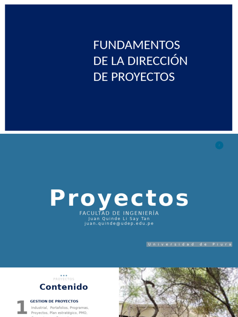 2 Fundamentos de La Direccion de Proyectos | PDF | Gestión de proyectos ...