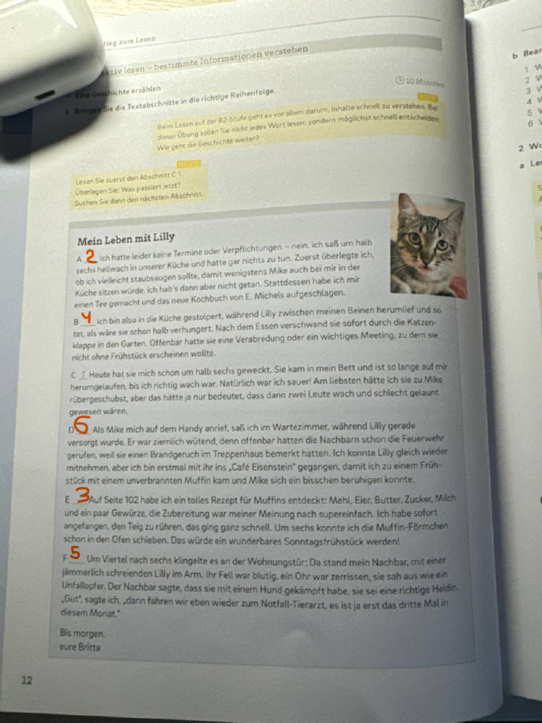 Text Leben Mit Lili | PDF