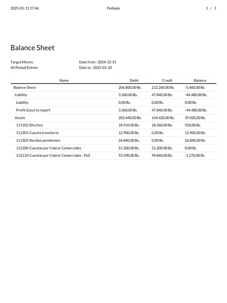 Balance Sheet Analysis: Dec 2024 - Jan 2025 | PDF