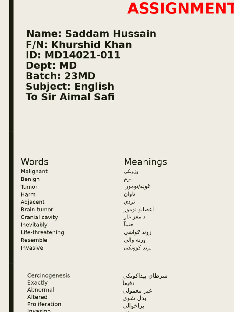 My English Assignment | PDF