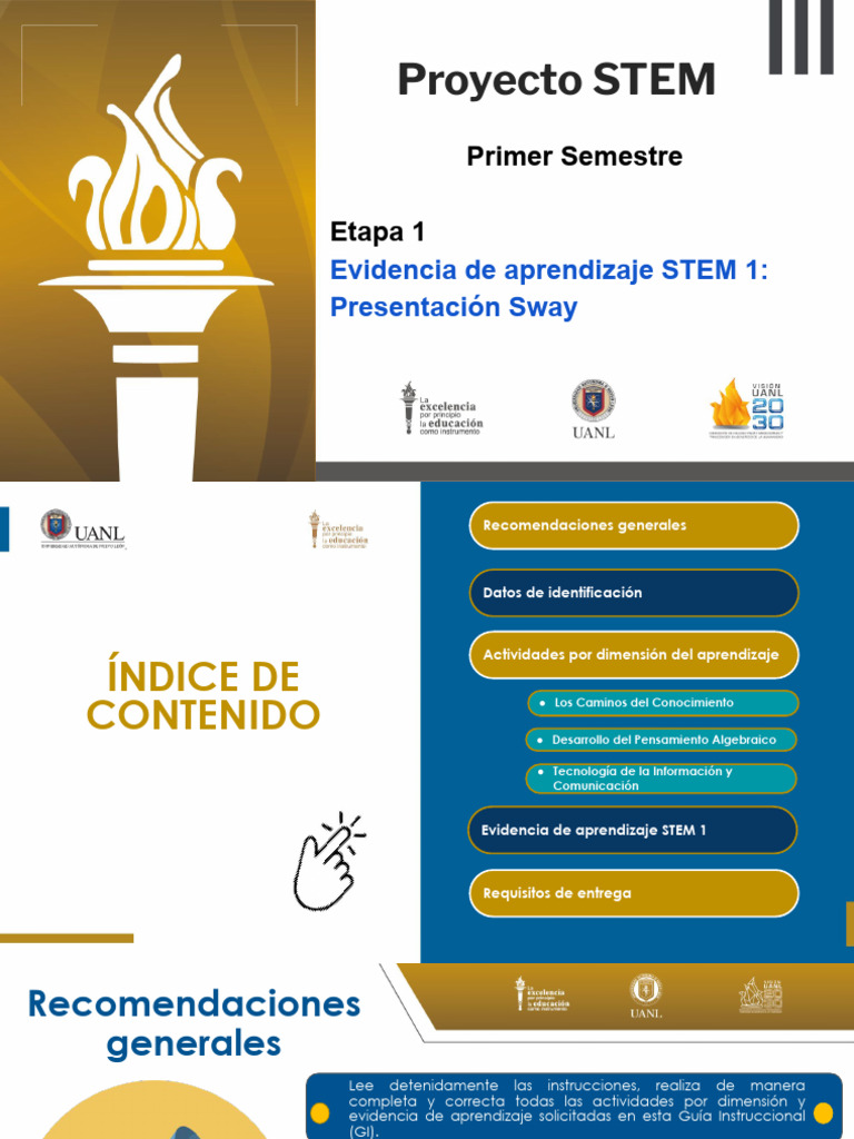 Guía Instruccional Proyecto STEM 1 | PDF | Aprendizaje | Science