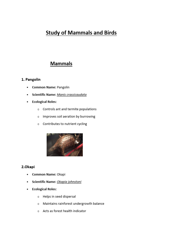 Mammals and Birds: Ecological Roles Explained | PDF | Predation | Ecology