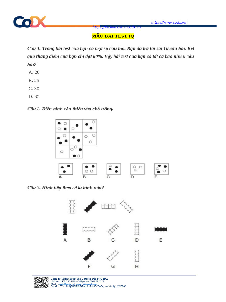 Mẫu Test Iq 1 | PDF