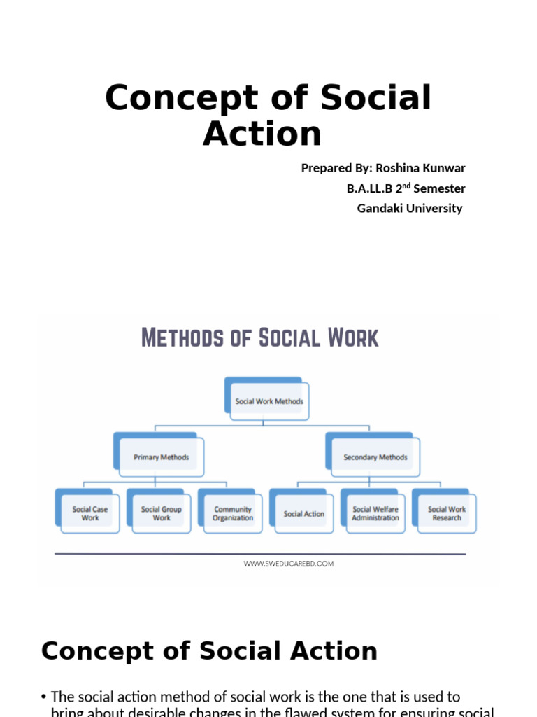 Principles of Social Action Explained | PDF | Social Work | Social Policy