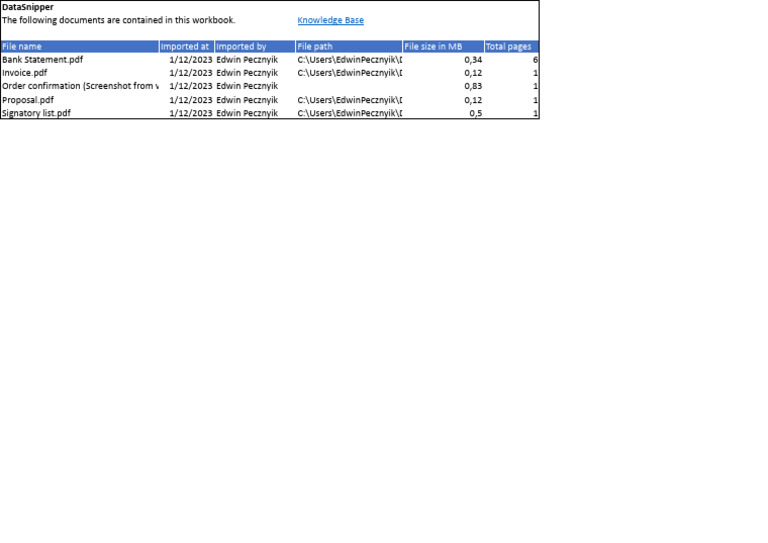 DataSnipper Document Overview | PDF