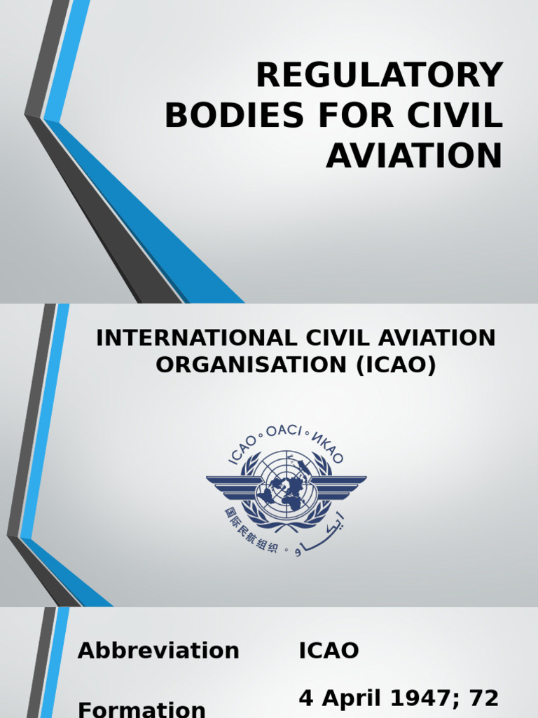 Overview of Civil Aviation Regulators | PDF | Aviation | Civil Aviation