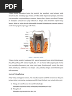 Download TULANG ALVEOLAR by Affiva Aqmarina SN92974752 doc pdf