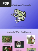 Download classification of animals by Qaisar rehman SN9297559 doc pdf
