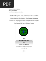 Download Laporan Lengkap Fitokimia Kel III by Wahyu Da Pharmacist SN92975614 doc pdf