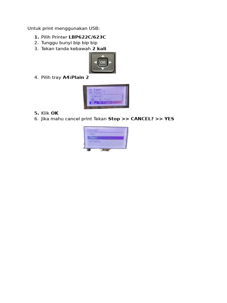 Cara Print Menggunakan USB LBP622C/623C | PDF