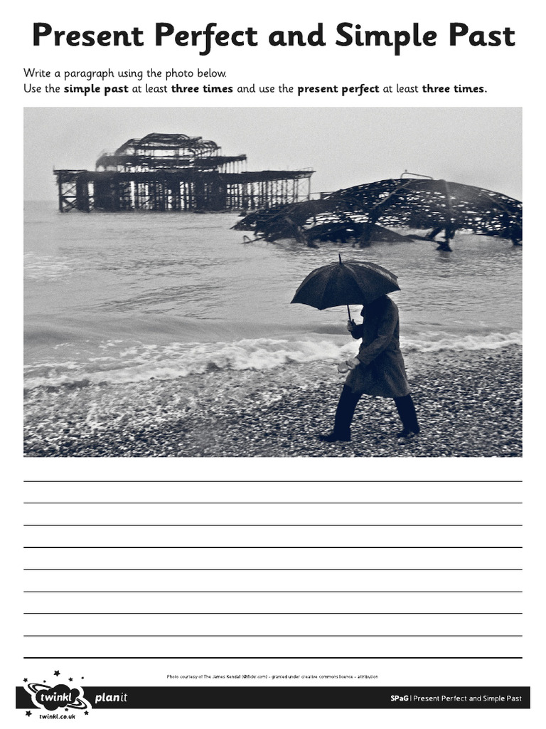 Application Activity PRESENT PERFECT | PDF