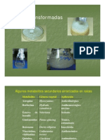 Clase 10 Raices Transformadas - PPT (Modo de Ad