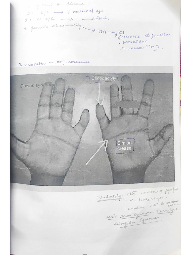 Pediatrics OSCE Charts | PDF