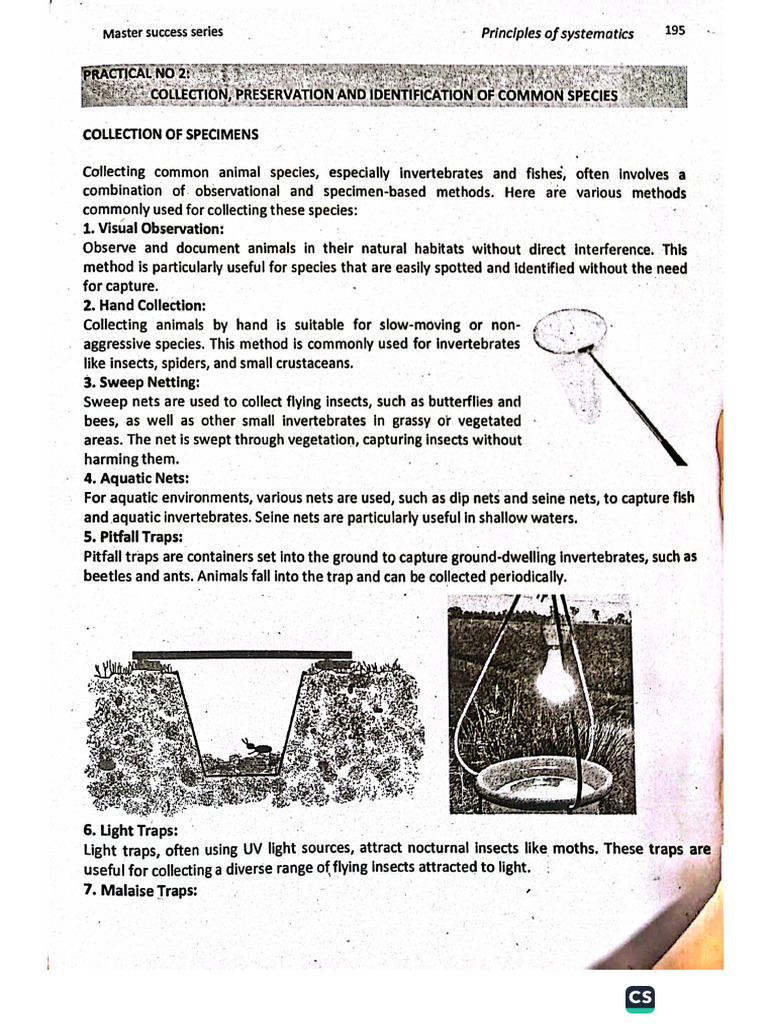 Evolution 2nd Practical | PDF