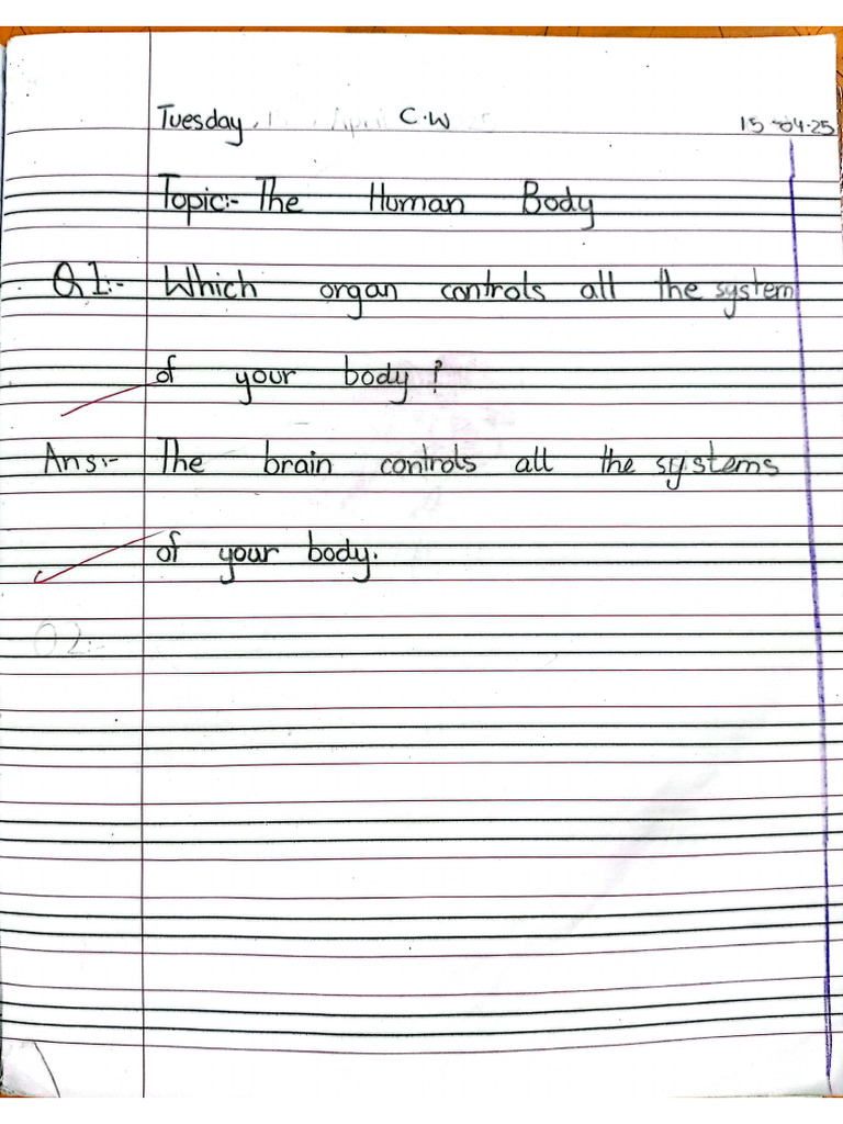Science Complete Copy Work | PDF