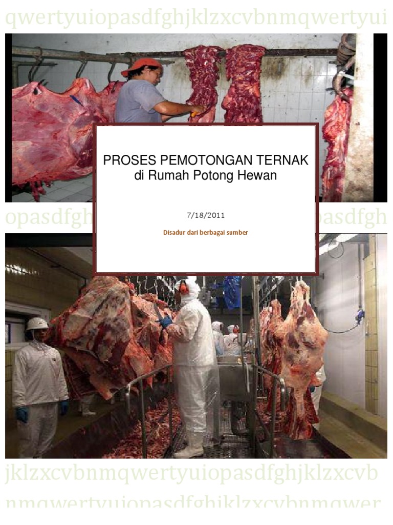 Proses Pemotongan Sapi di RPH | PDF